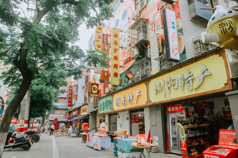 2024年沈阳房地产市场土地供应与区域价值分析报告
