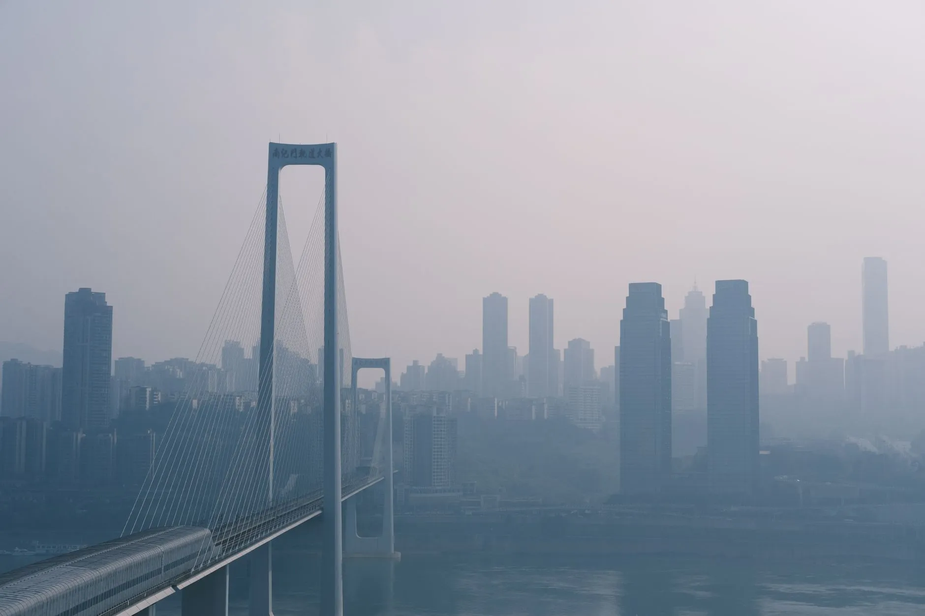 2024年沈阳房地产市场年终报告：房价走势与区域价值深度解析