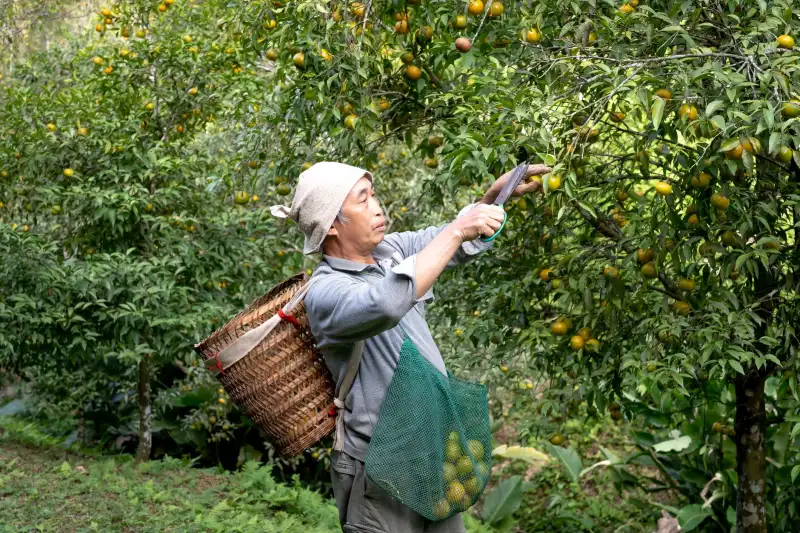 辽宁土地市场供需格局变化及对房地产开发投资的影响报告