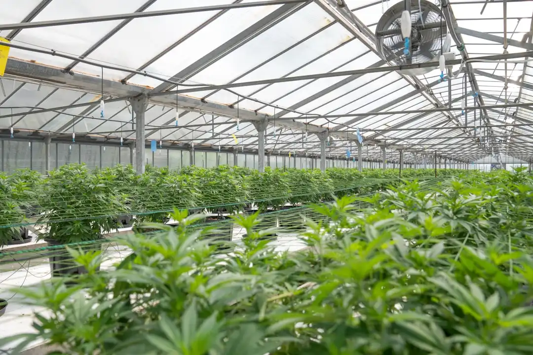 沈阳土地市场供需格局变化对区域价值的影响研究