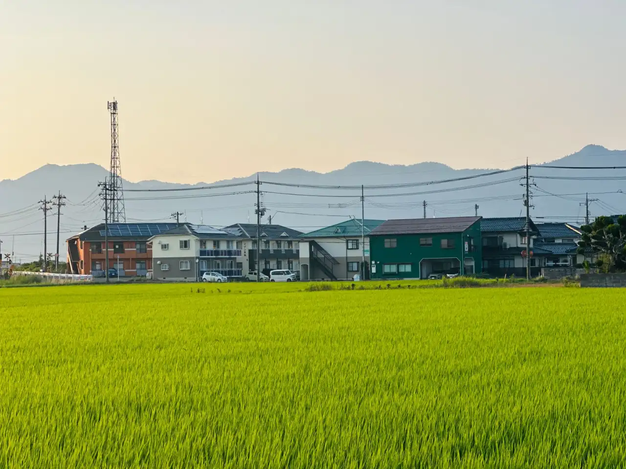 2025年沈阳土地市场供需格局与区域价值演变趋势分析