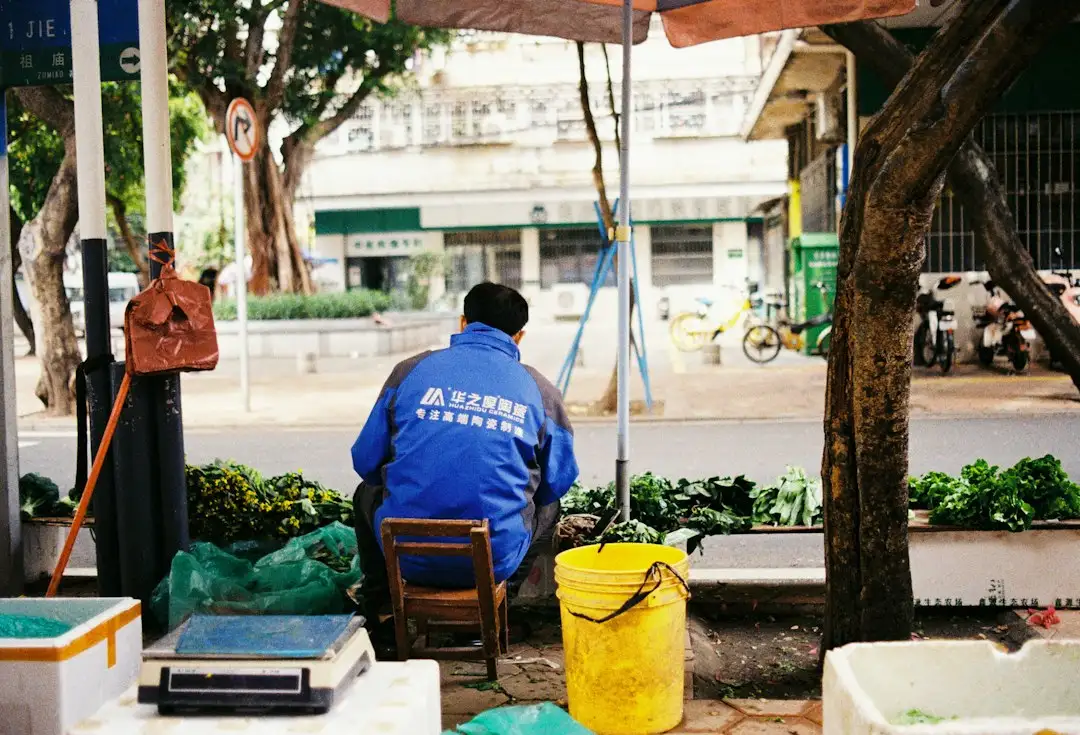 2025年沈阳土地市场成交数据解读与区域价值分析