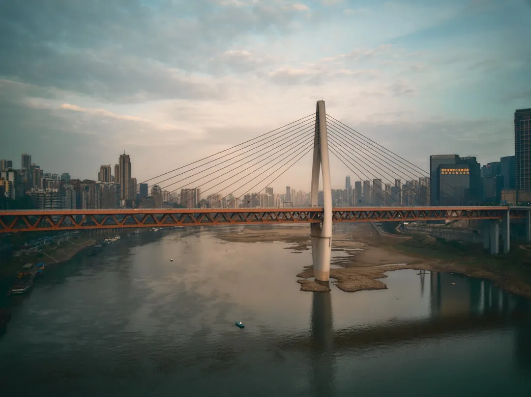 2024-2025年沈阳房地产市场报告:区域价值分化与投资机会解读